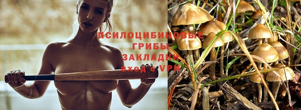 мдма Лиски